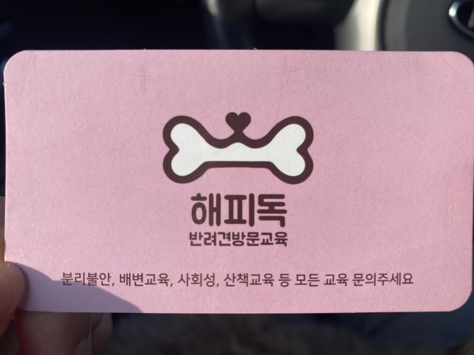 해피독반려견방문교육 이미지