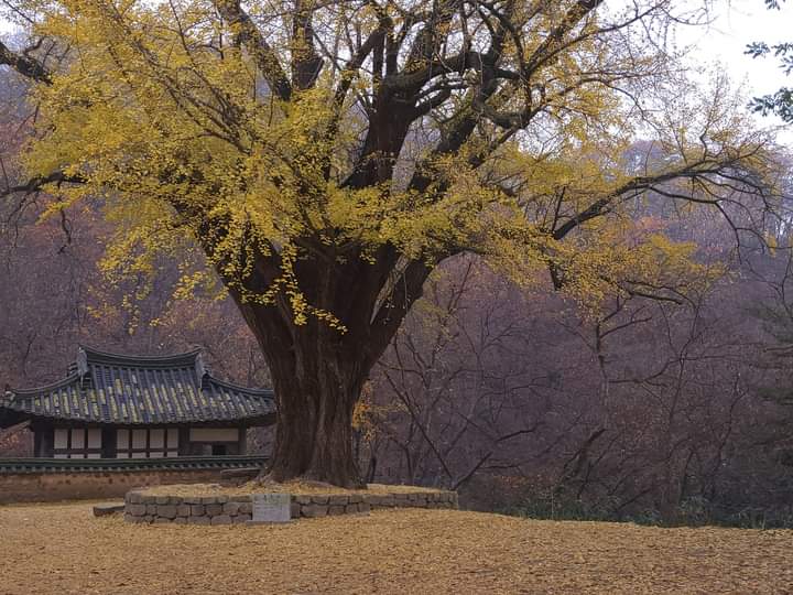 세무법인이화 이미지