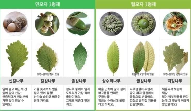 6형제식품 이미지