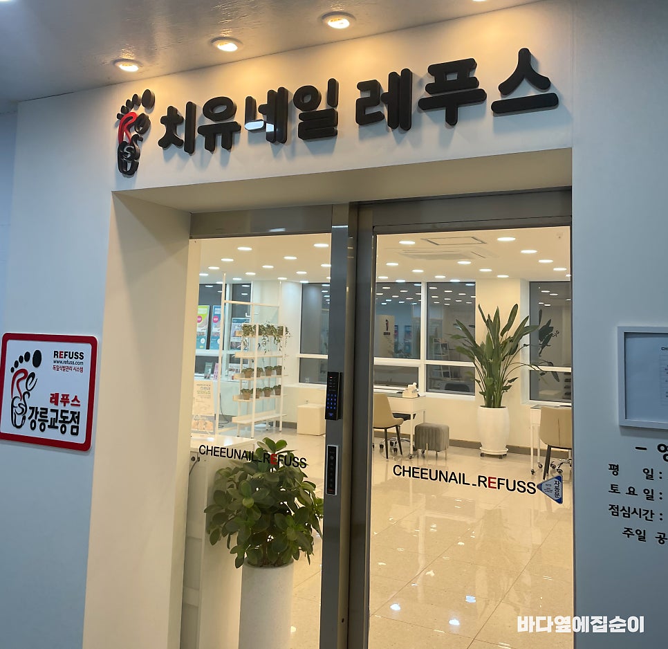 치유네일레푸스 강릉교동점 이미지