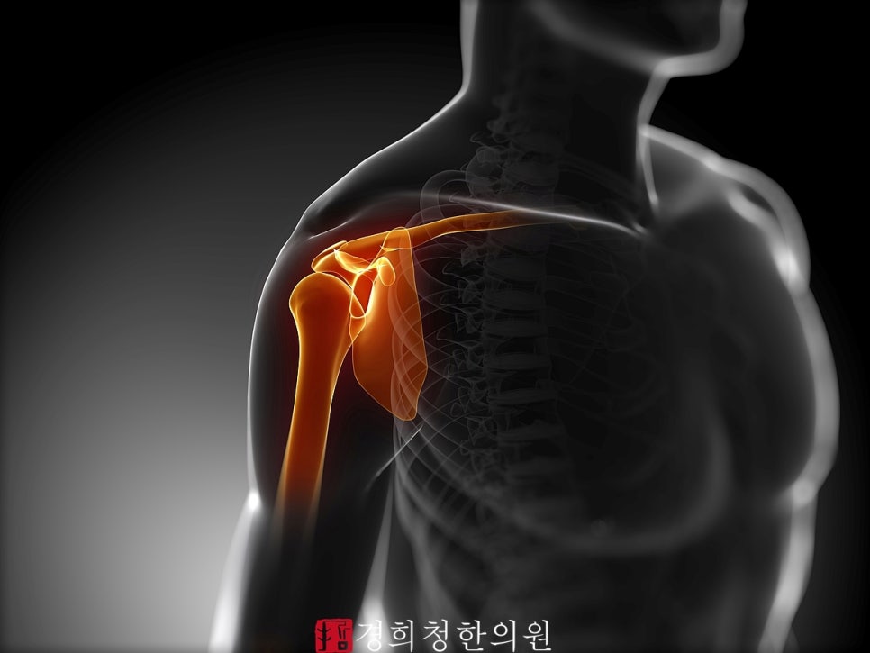 오거리한의원 이미지