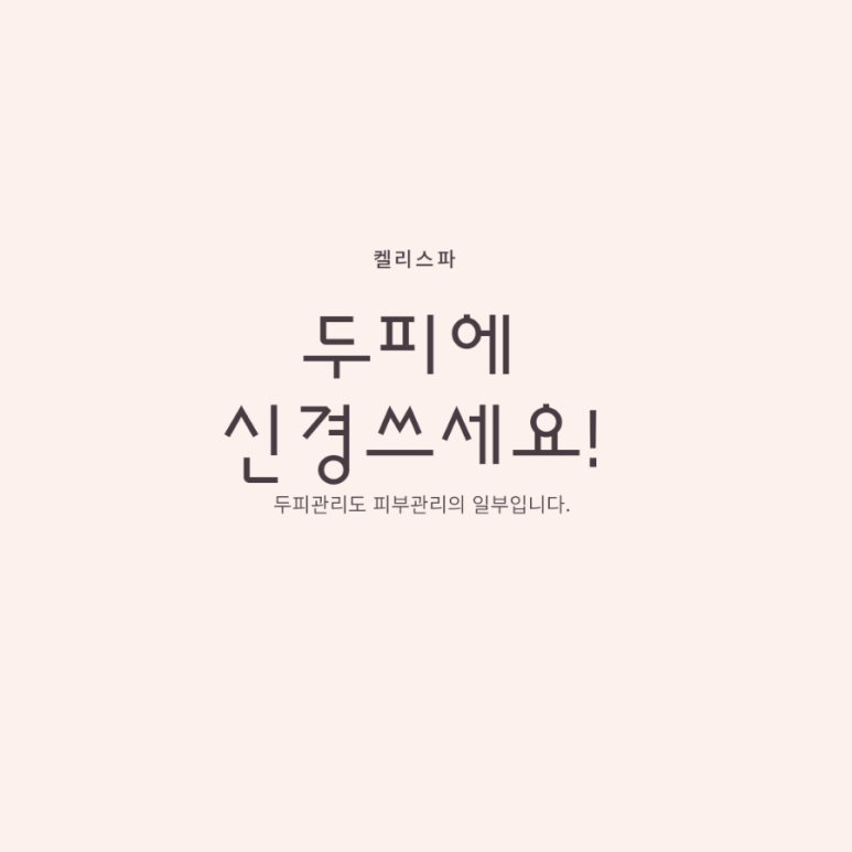 켈리스파 이미지