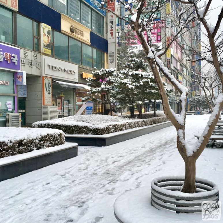 던킨도너츠영통 이미지