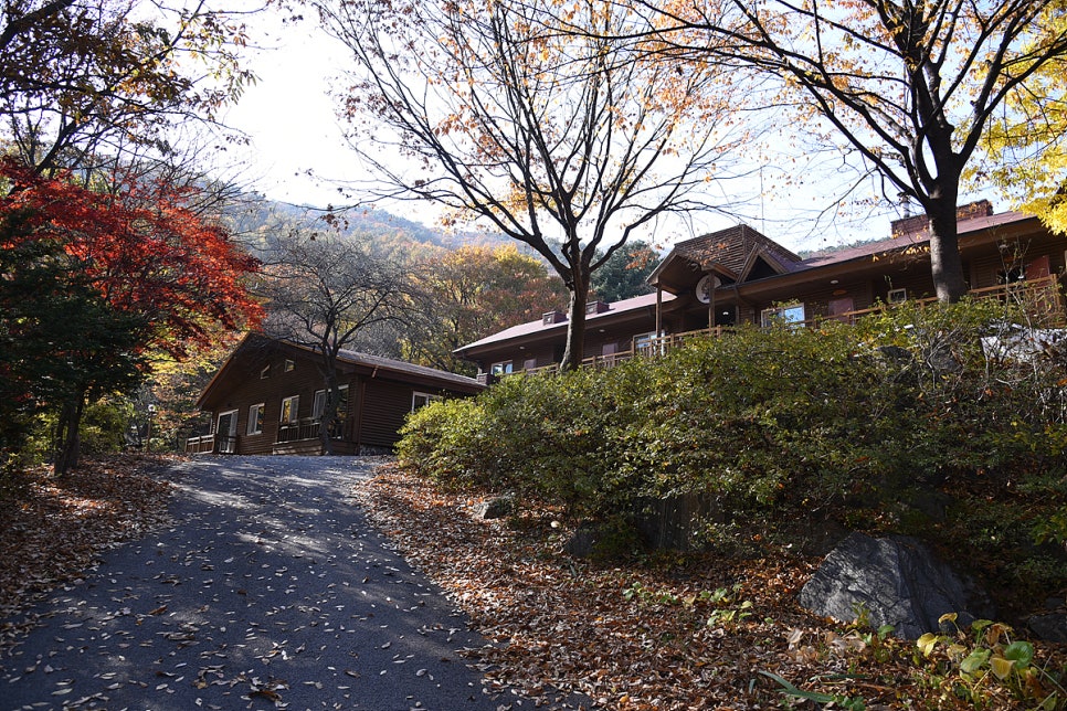 국립오서산자연휴양림 이미지