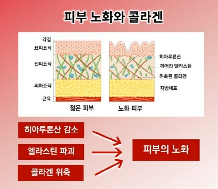 주식회사 위너스 이미지