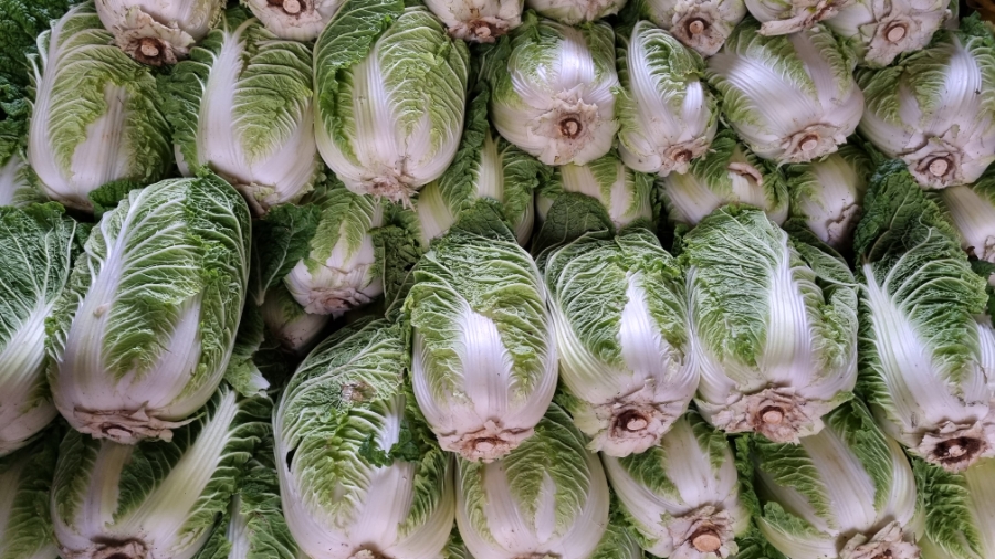 곰소농장 이미지