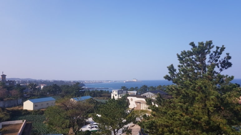 올레에반하다 이미지