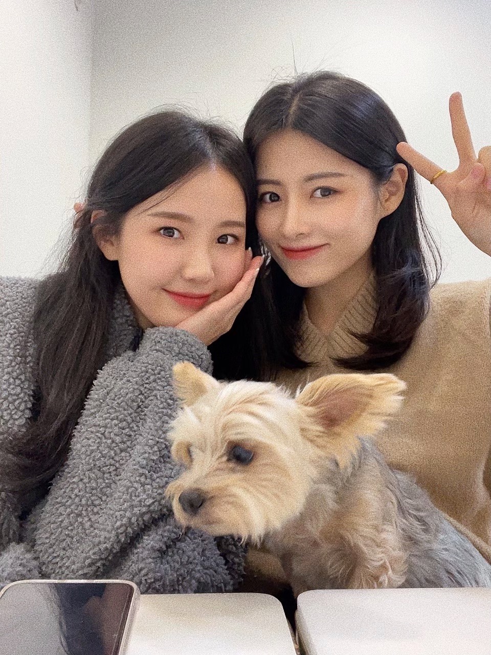 카페인스 이미지