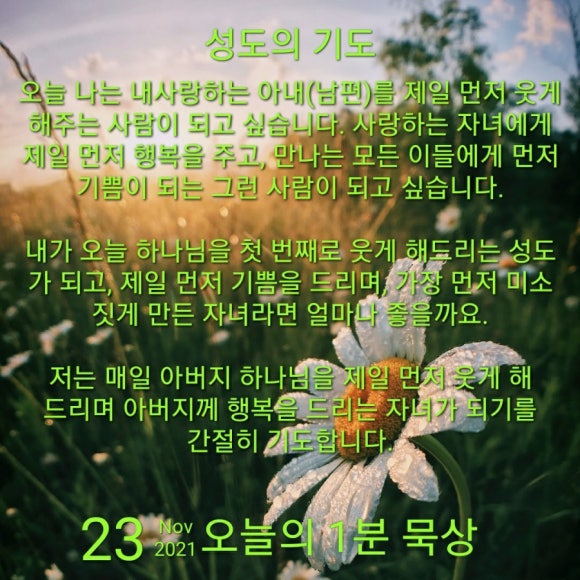 오늘은스시로 이미지