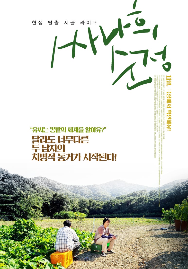 시네마 넝쿨 이미지
