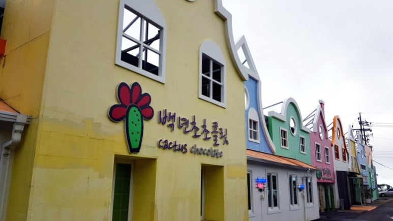 제주오렌지 이미지