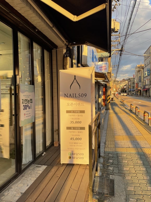 네일509 이미지