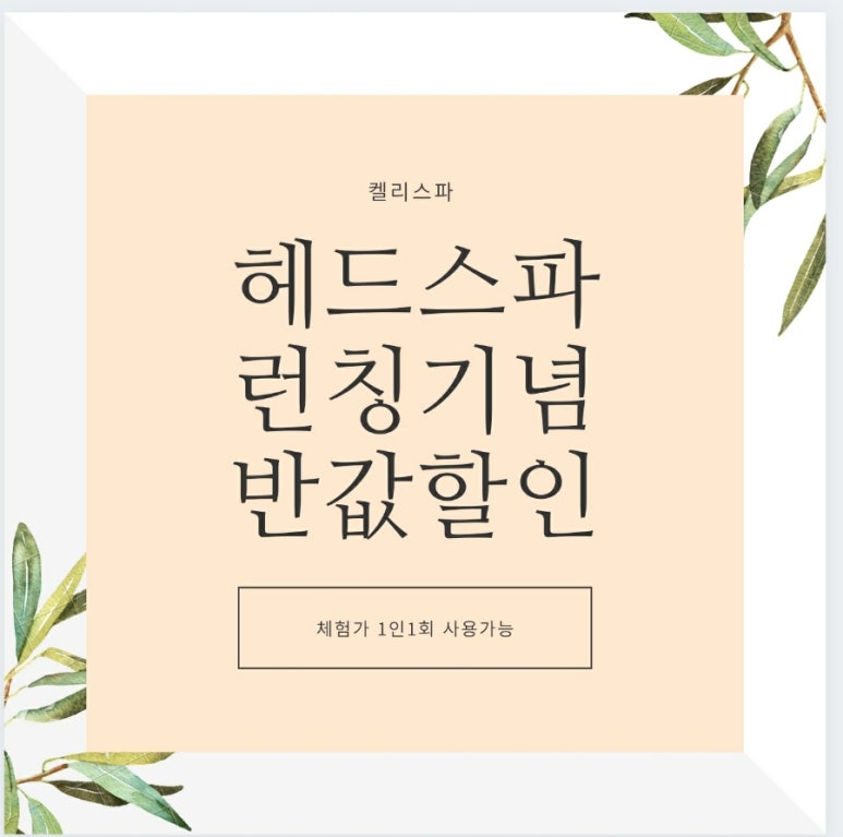 켈리스파 이미지