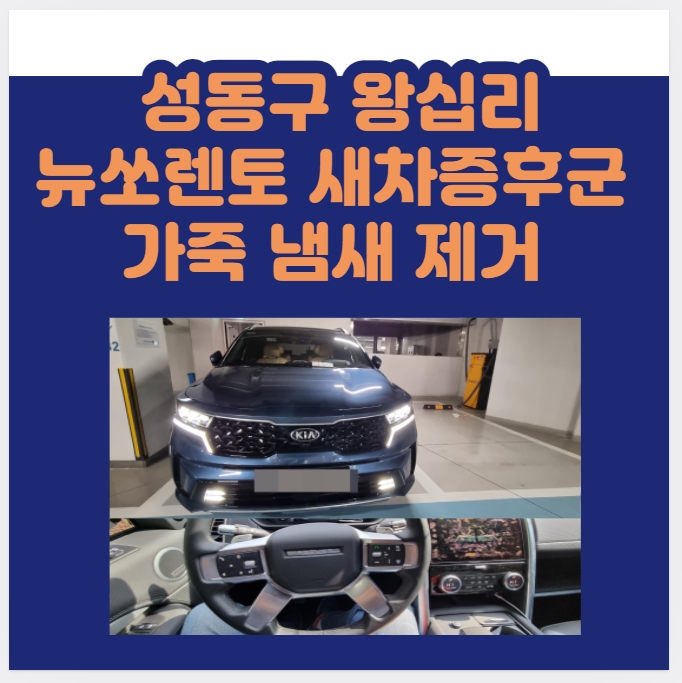가죽아놀자 이미지