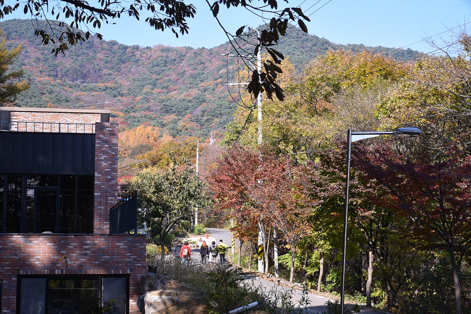 국립오서산자연휴양림 이미지