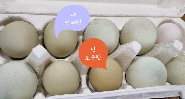 수녕김밥 이미지