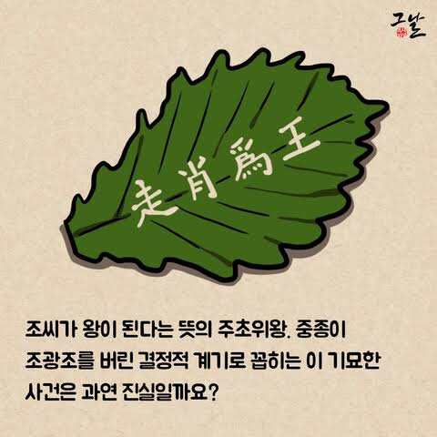 씨 식당 이미지