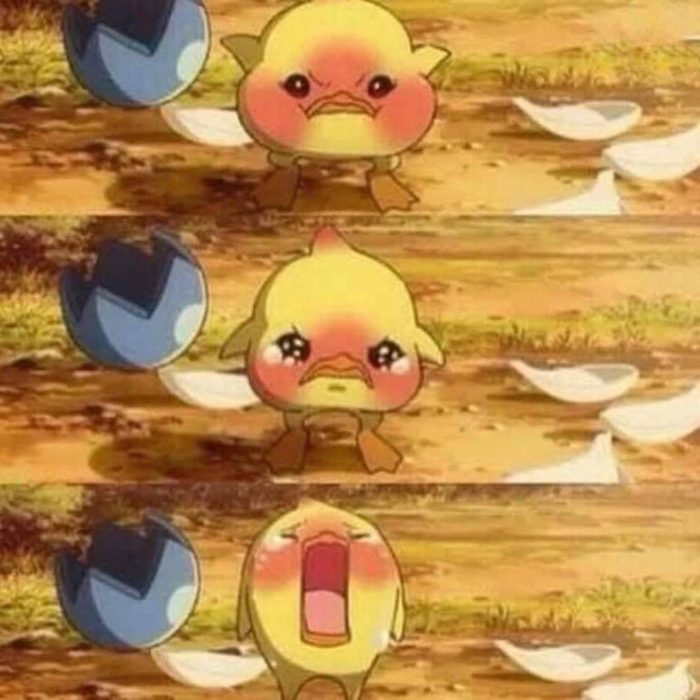 릴레이지 이미지