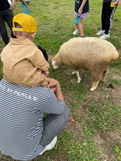 타조농수산 이미지