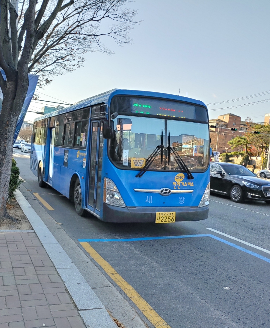 세왕 이미지