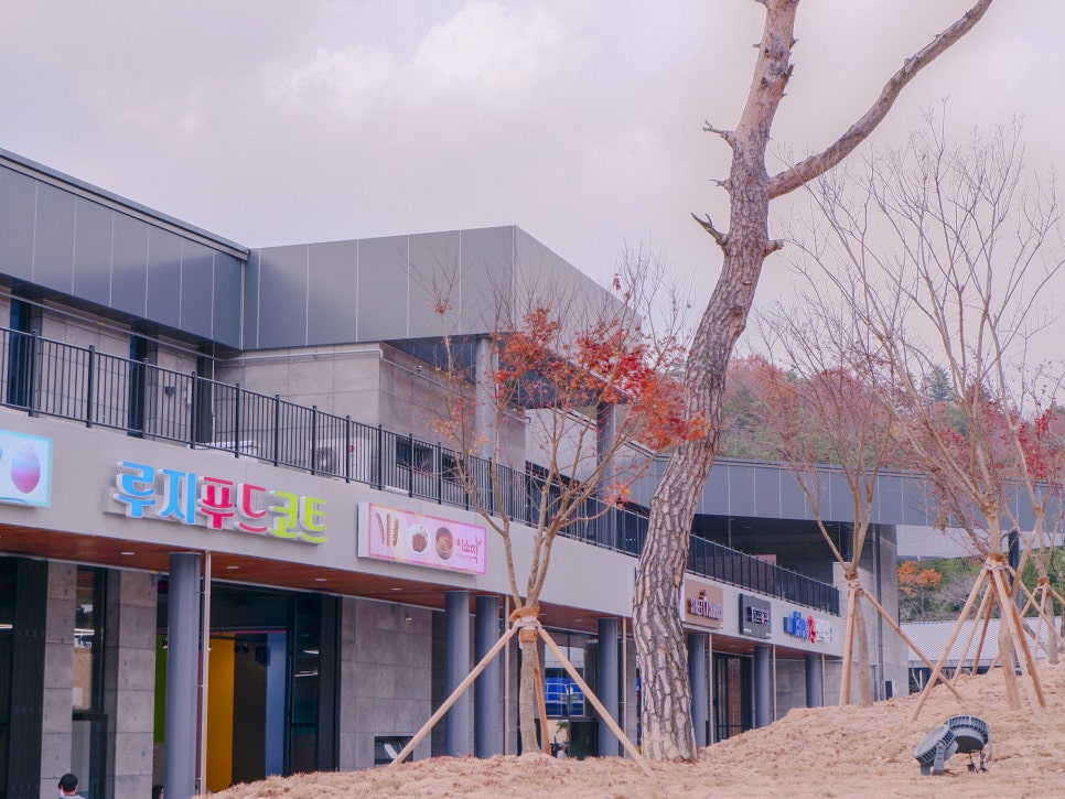 경주루지월드 푸드코트 이미지