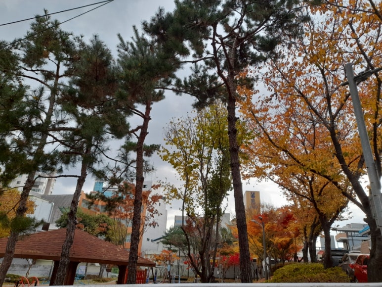 대구일유료직업소개소 이미지