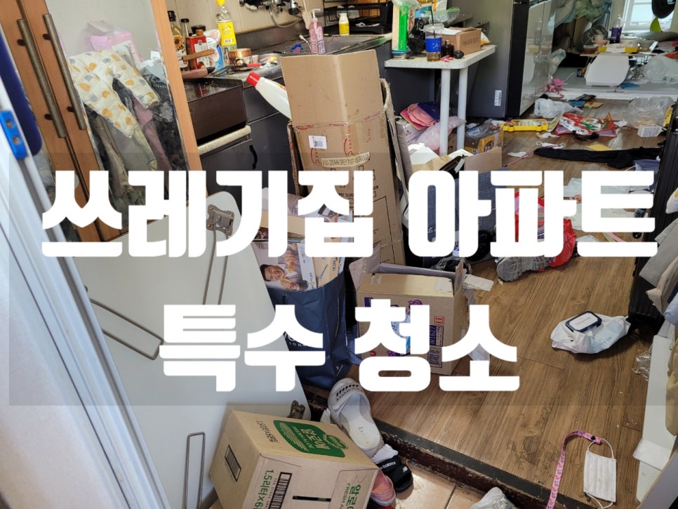 청솔컴퍼니 이미지