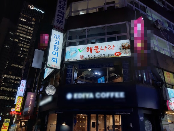 싱싱나라 이미지
