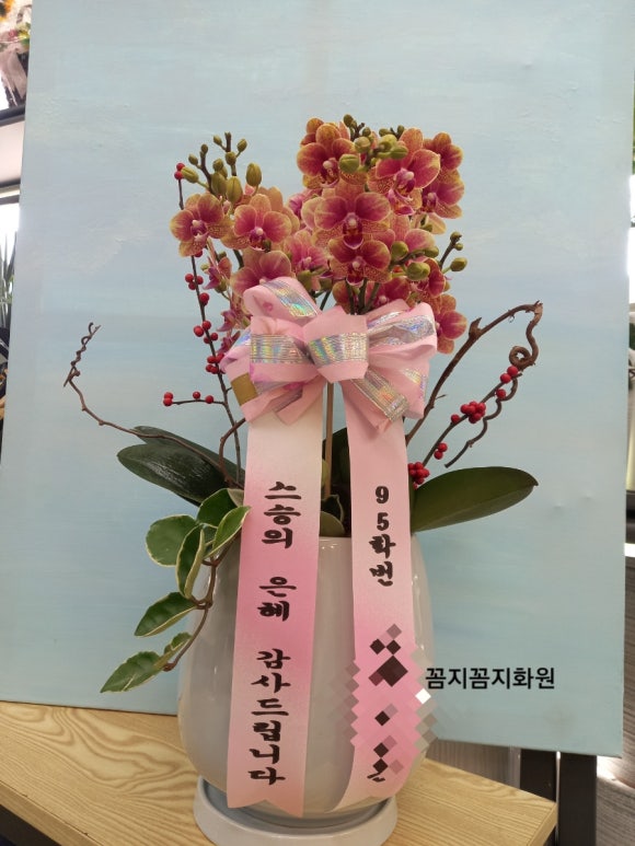 꼼지꼼지화원 이미지