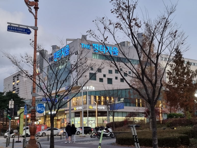 일리아플라워 이미지