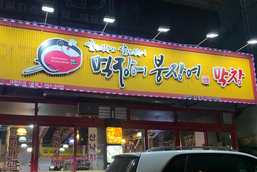 살아있네산곰장어 이미지