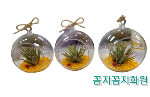 꼼지꼼지화원 이미지
