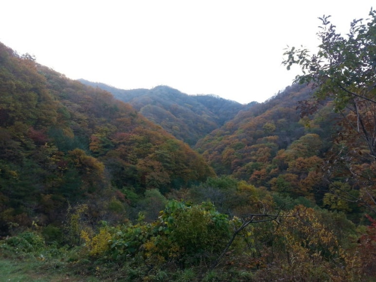 국립 백운산 자연휴양림 이미지