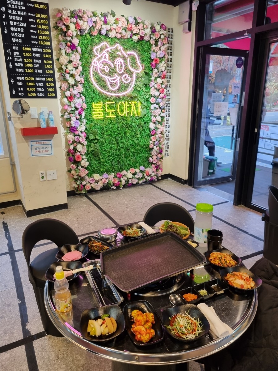 불도야지 이미지