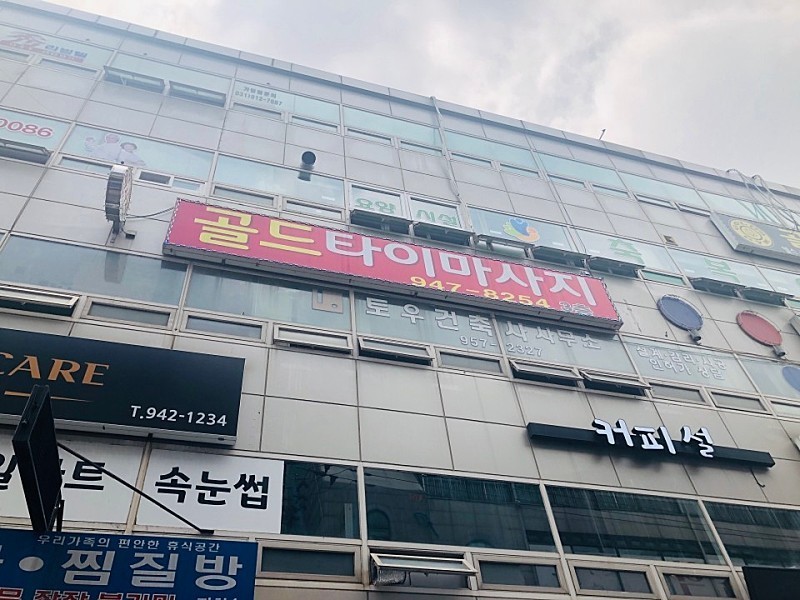 골드타이 이미지