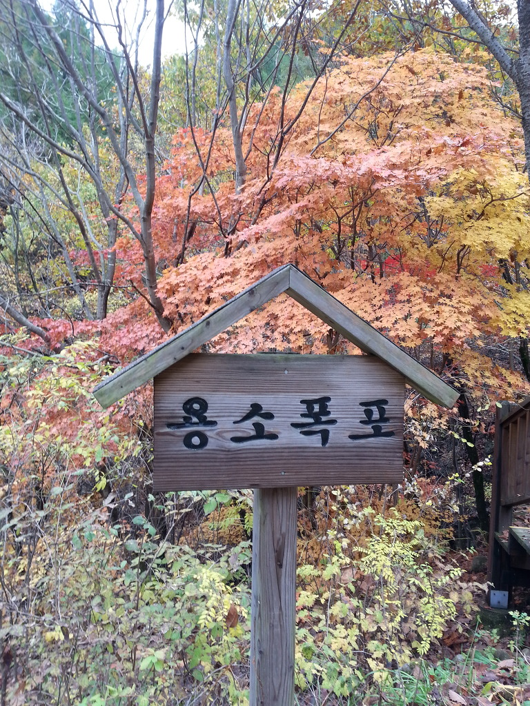 국립 백운산 자연휴양림 이미지