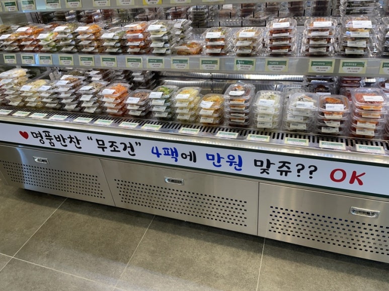 쉐프엠고양 이미지