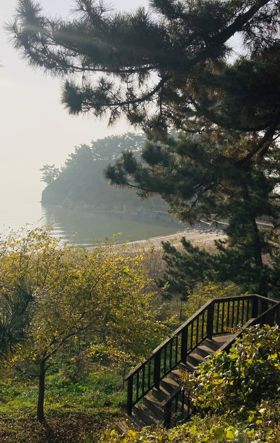 속동전망대펜션 이미지