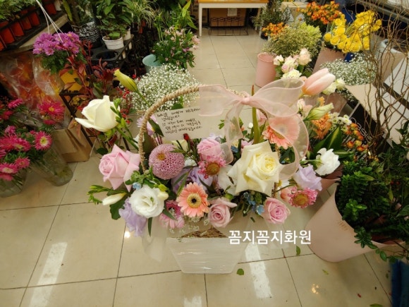 꼼지꼼지화원 이미지