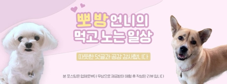 제이케이원 이미지