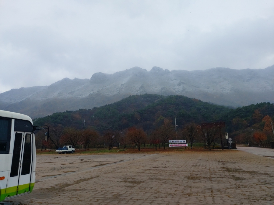 내장산캠핑카 이미지