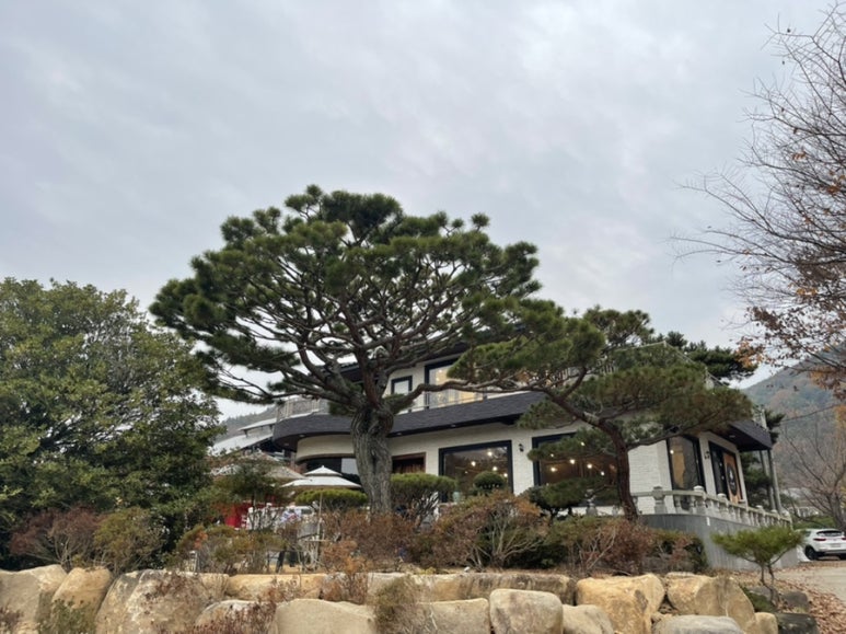 카페지엘 이미지