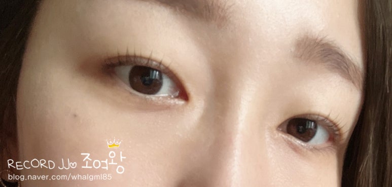 꼼꼼브로우 이미지