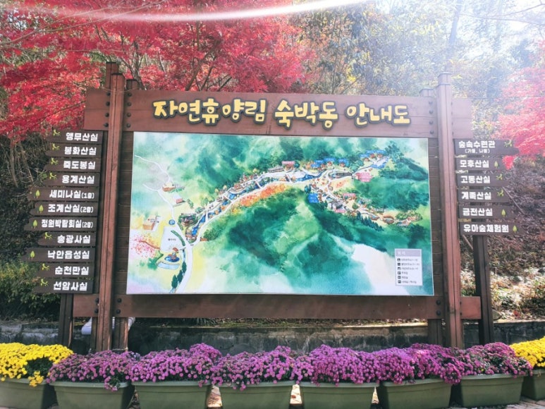 송광어린이집 이미지