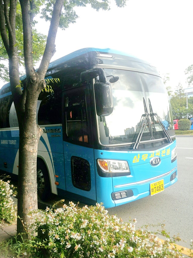 삼우고속관광 이미지
