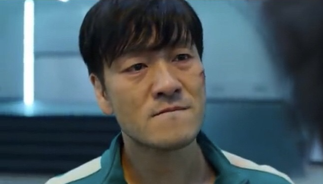 레드메이플 이미지