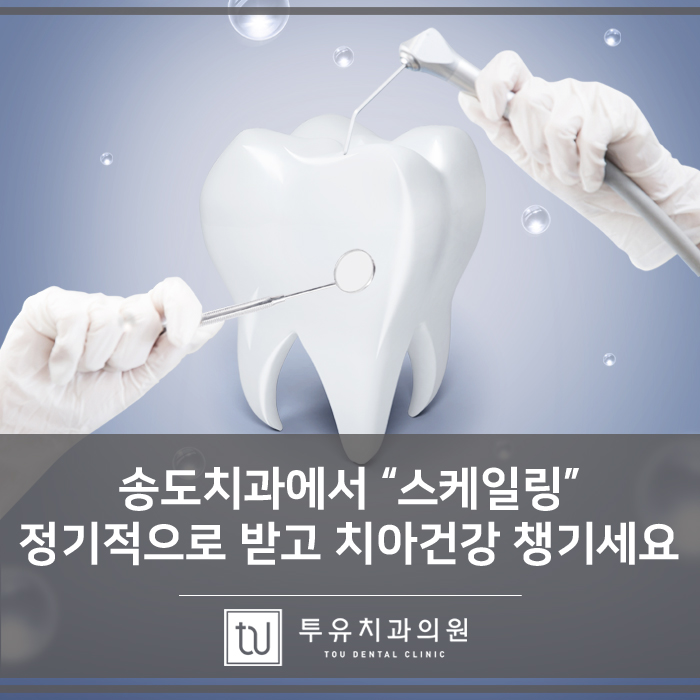 투유치과의원 이미지