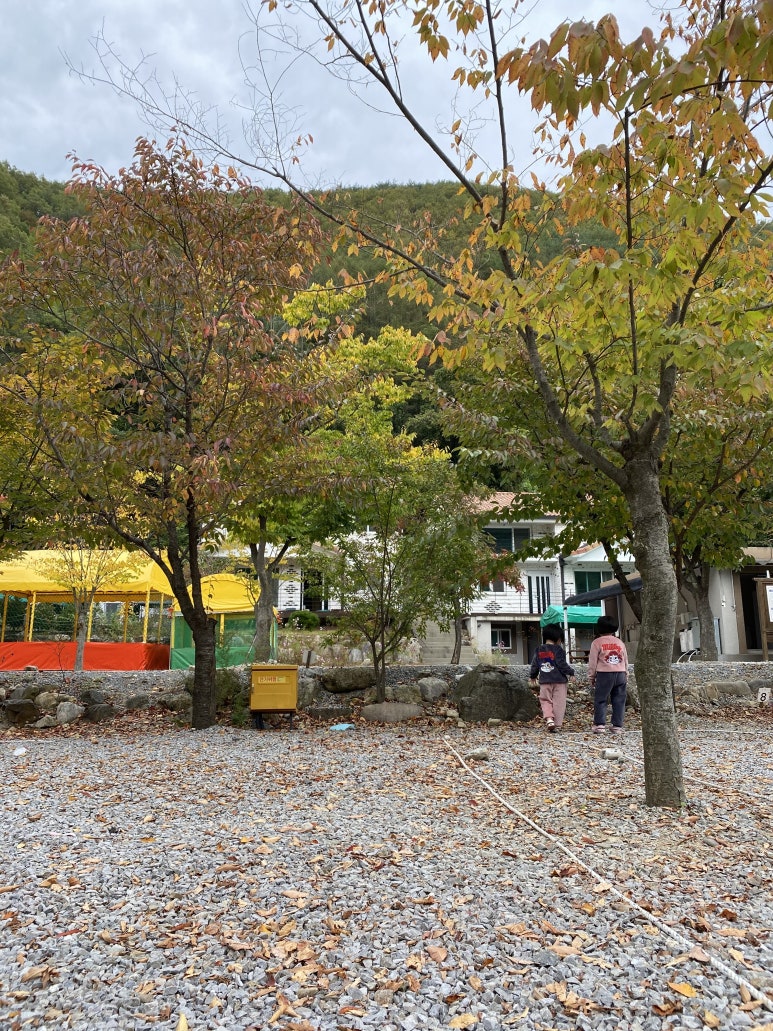 푸른새벽캠프장 이미지
