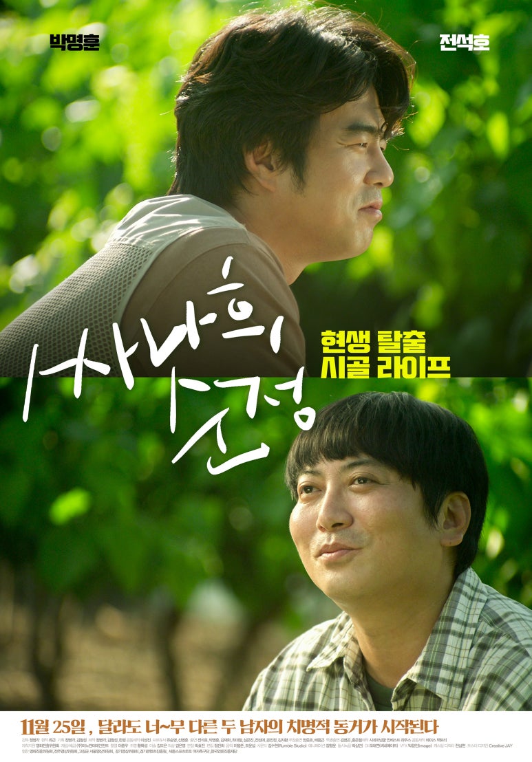 시네마 넝쿨 이미지