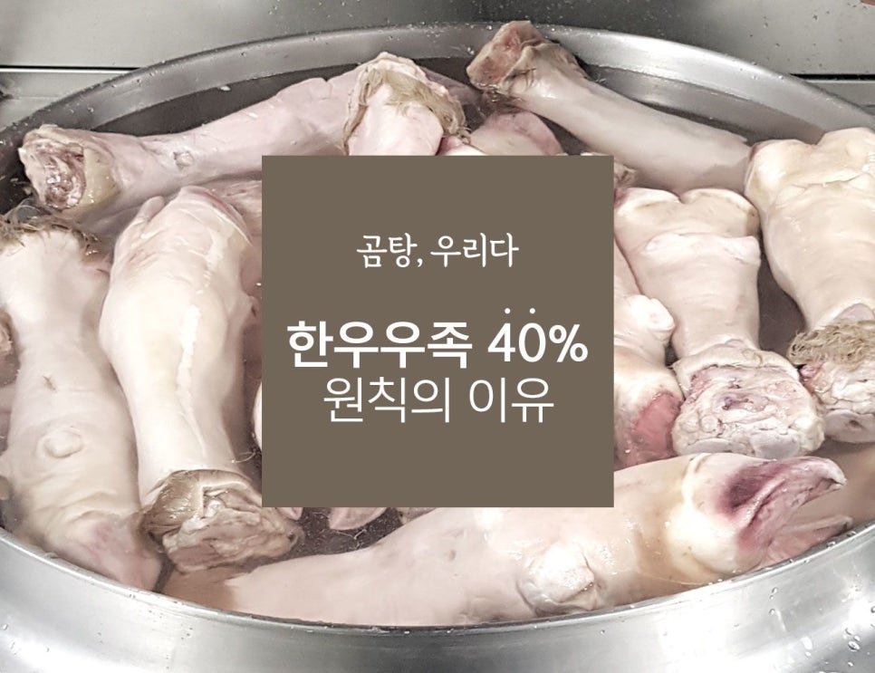 곰탕우리다 이미지